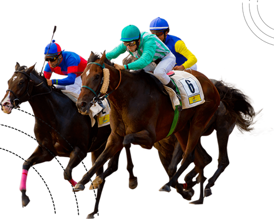 premier casino racebook